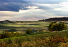 Kraków Valley Golf 