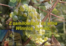 Z zamiłowania do wina – Winnica Turnau.