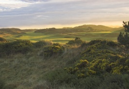 The 145th Open Championship 